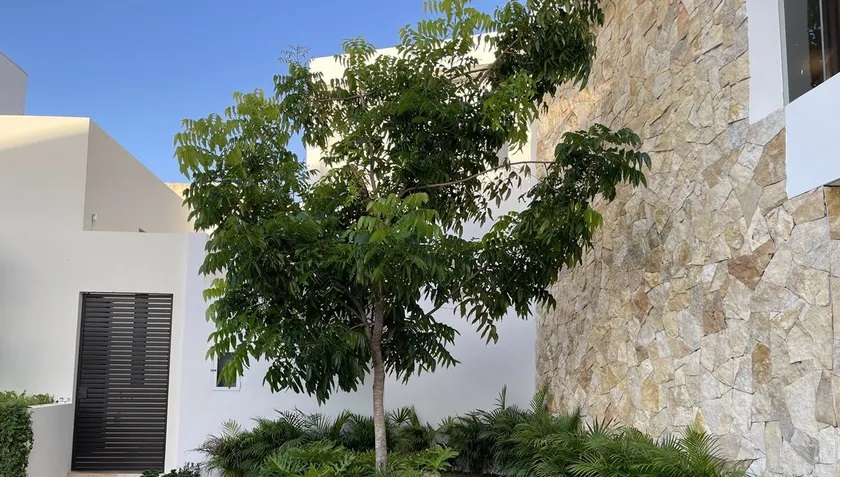 Imagen de Casa en Altabrisa